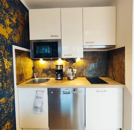 Altstadt - Tiefgarage Kostenlos 公寓 美因茨